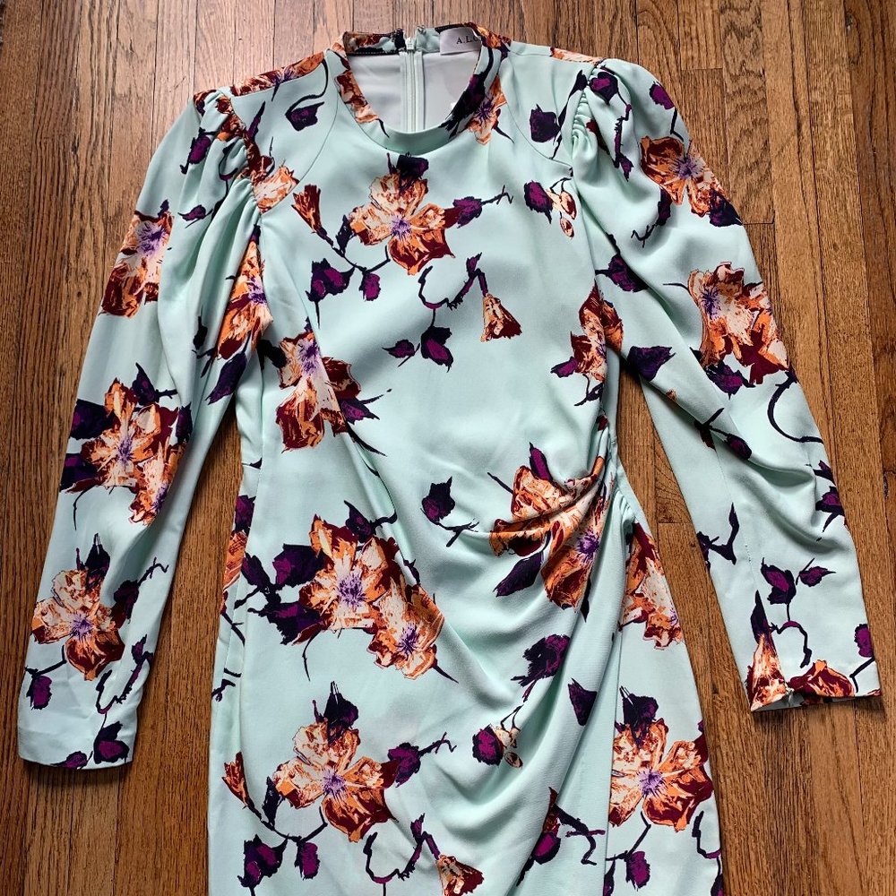 A.L.C. Jane Dress NWT Size 6